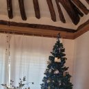 선제리의 아침 이미지