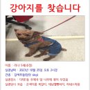 다대2동-13 이미지