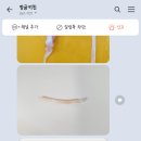 피쉬앤키친 이미지