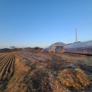 진흥농장2 이미지