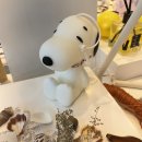 바른눈안경원 이미지