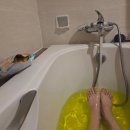 Central 동물병원 | 베트남 나트랑 아기랑 10일차 담시장 쇼핑 팁