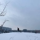 군산 자연탐구여행] 서천 국립해양생물 자원관 씨큐리움 / 바다마을 고래고래 방문 후기 , 실내가볼만한곳