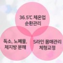 체온UP힐링 다이어트