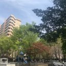 잠원로(남측) 이미지