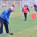 그라운드 골프 이미지