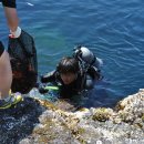 독도환경 이미지