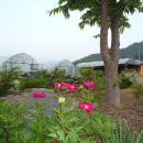 ● ―*농지 취득, 이것만은 알아두자..!! 이미지