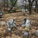 석도현 생명의노래 이미지