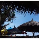 우먼스키친 이미지