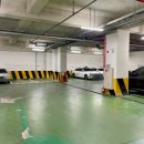 올리브영 대전반석점 이미지