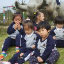 고싸움놀이 영상체험관 이미지