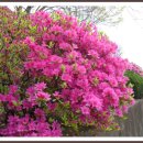 조선대학교병원 이미지