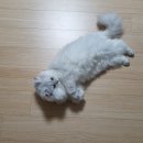 (주)퓨라이트 이미지