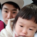 보목어린이집 | [공지] 27살 아빠와 15개월딸 - 제주도