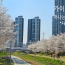 오리들2길 이미지