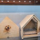 러브펫 반려동물장례식장 이미지