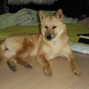 사옥축산 이미지