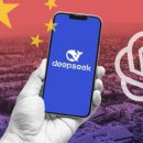 딥시크(DeepSeek, 深度求索, 심도구색) 이미지