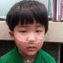 준영한의원 Daum카페