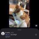 지에스(GS)25 옥포중앙로점 | 나태한 수린이의 게으른 수영 다니기 🌊 천안까지 학원 다니기 👅