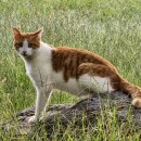 기분좋은 동물병원 이미지