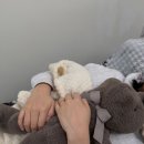 비비맨션 왁싱속눈썹전문 창원
