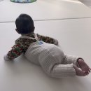 11650-7-69-18 | 육아 :: 던스(DUNS SWEDEN) 80일부터 18개월까지 입힌 후기!@!!~ 1탄 (덩가리, 보넷, 바디수트, 썸머수트)