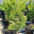 단일농장 이미지