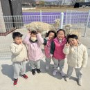 쥬쥬랜드