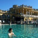 호수가든민박 | 야간열차, 부다페스트 1박2일, 부다페스트&gt;베를린 야간열차, 독일 베를린 3박 4일, 베를린 한인민박