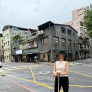 핸드메이독 | 대만 타이베이 6월 당일치기 여행