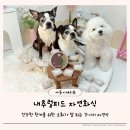 내추럴피드 | 내추럴피드 자연화식 다견가정이 정착한 전연령 강아지 화식