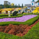 임실치즈벨리 이미지