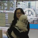 더독동물병원 이미지