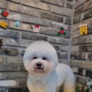 오도독뽀도독 이미지