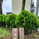 소보리당 | [제주 서귀포] 중문 카페_소보리당로222 (내돈내산)