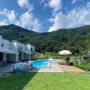 우다다애견펜션 이미지