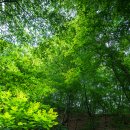 칠갑산가든 이미지