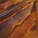 산청농장 이미지