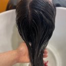 모결헤어팀 목동점