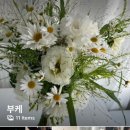 플랜트서브 이미지
