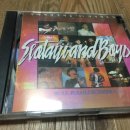 서태지와아이들라이브 이미지