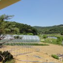 용문농장 이미지