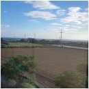 무릉소운 이미지