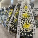 서울화환배달 | 서울 장례식장 근조화환 배달 지방에서도 걱정 끝! 조조플라워 추천 후기