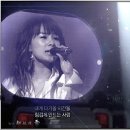 승채 이미지