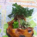 용마공인중개사사무소 이미지