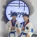 풍생태권도장 이미지