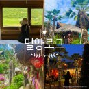 통나무펜션A | 밀양 10만원대 계곡펜션 추천 밀양로그 캠프C